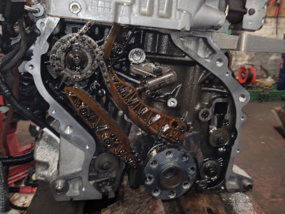 Engine Timing Chain 